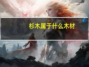 杉木属于什么木材