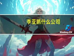 李亚鹏什么公司