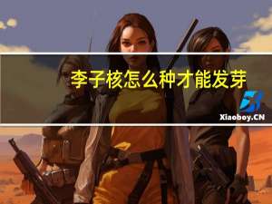 李子核怎么种才能发芽