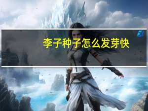 李子种子怎么发芽快