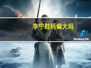 李宁鞋码偏大吗