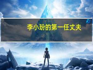 李小玢的第一任丈夫（李小玢的丈夫）