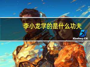 李小龙学的是什么功夫