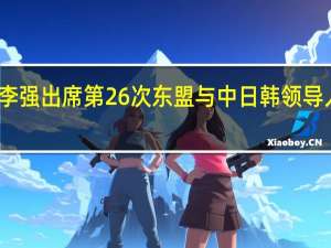 李强出席第26次东盟与中日韩领导人会议