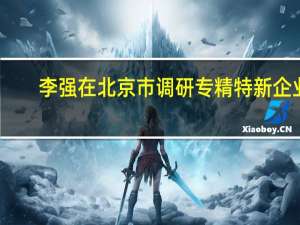 李强在北京市调研专精特新企业（央视）