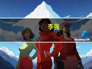 李强：在改革创新中做强做优做大国有企业 带动和促进民营企业、中小微企业共同发展