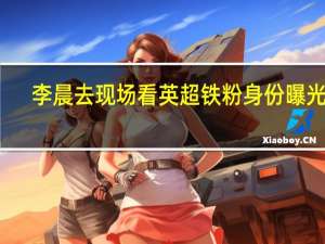 李晨去现场看英超 铁粉身份曝光了？