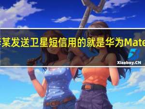 李某发送卫星短信用的就是华为Mate50系列