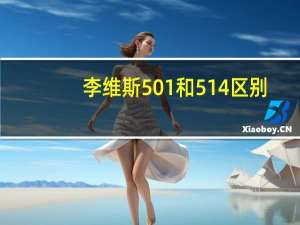 李维斯501和514区别
