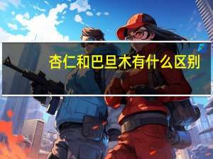 杏仁和巴旦木有什么区别
