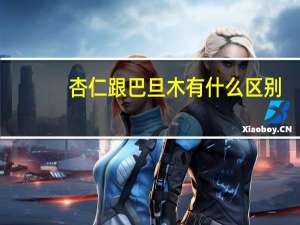杏仁跟巴旦木有什么区别