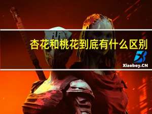 杏花和桃花到底有什么区别