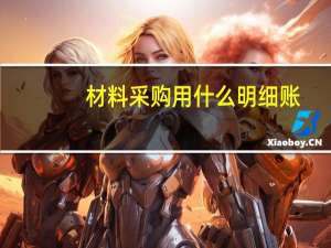 材料采购用什么明细账