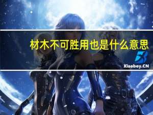 材木不可胜用也是什么意思