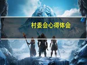 村委会心得体会
