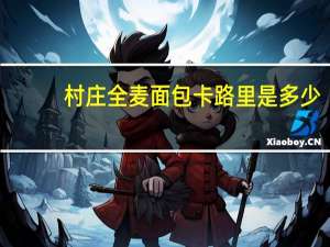 村庄 全麦面包卡路里是多少