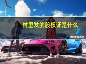 村里发的股权证是什么