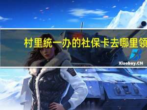 村里统一办的社保卡去哪里领