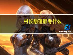 村长助理都考什么