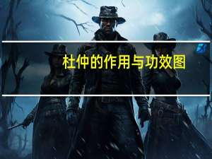 杜仲的作用与功效图（杜仲的作用与功效）