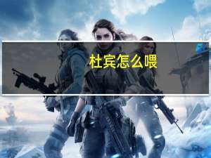 杜宾怎么喂