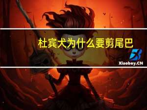 杜宾犬为什么要剪尾巴