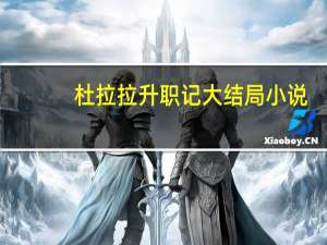 杜拉拉升职记大结局 小说（杜拉拉升职记3简介）