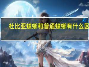 杜比亚蟑螂和普通蟑螂有什么区别