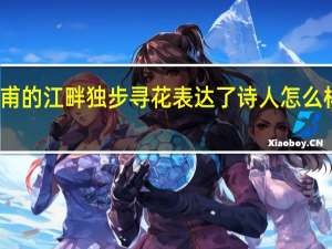 杜甫的江畔独步寻花表达了诗人怎么样的感情