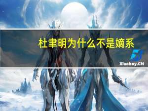 杜聿明为什么不是嫡系