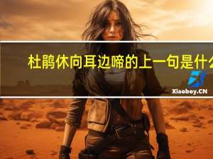 杜鹃休向耳边啼的上一句是什么