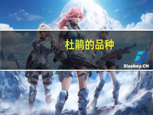 杜鹃的品种