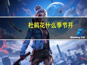 杜鹃花什么季节开