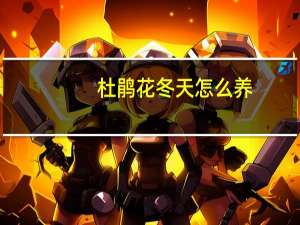 杜鹃花冬天怎么养