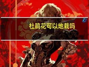 杜鹃花可以地栽吗