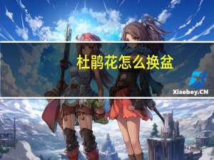 杜鹃花怎么换盆