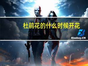 杜鹃花的什么时候开花