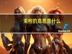 束柎的意思是什么