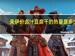 来伊份 卤汁豆腐干的热量是多少