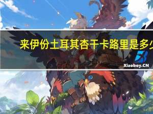 来伊份 土耳其杏干卡路里是多少