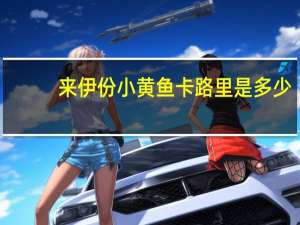 来伊份小黄鱼卡路里是多少