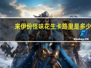 来伊份 怪味花生卡路里是多少