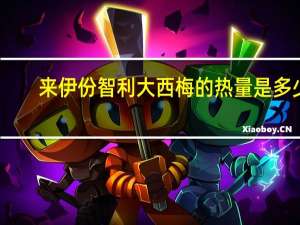 来伊份智利大西梅的热量是多少