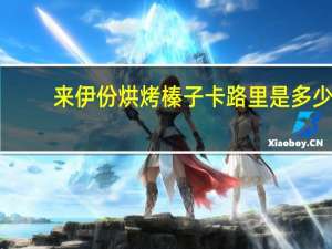 来伊份 烘烤榛子卡路里是多少