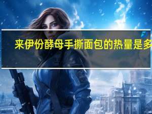 来伊份 酵母手撕面包的热量是多少