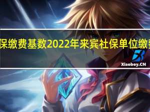 来宾社保缴费基数2022年 来宾社保单位缴费比例一览表