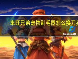 来旺兄弟宠物剃毛器怎么换刀头