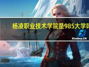 杨凌职业技术学院是985大学吗