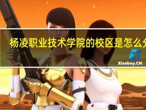 杨凌职业技术学院的校区是怎么分的