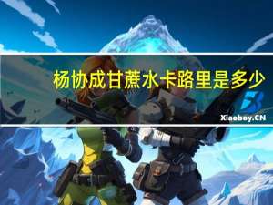 杨协成 甘蔗水卡路里是多少